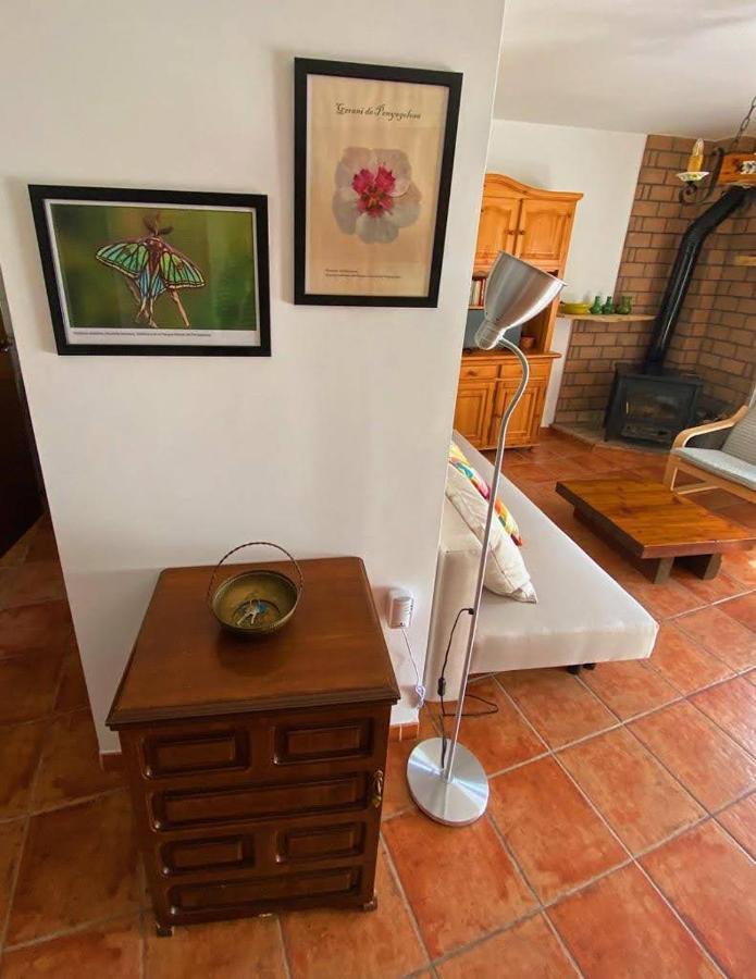ויסטבייה דל מאסטרטגו Apartamento Rural El Vidre Vt-42035-Cs מראה חיצוני תמונה